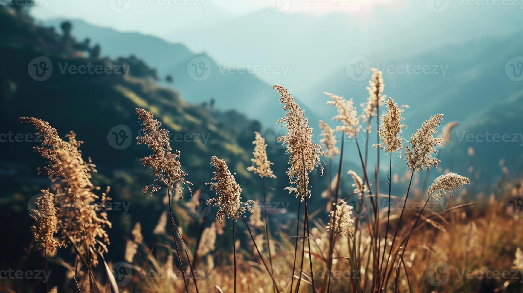 The perfect combination of elegance and nature, with a personalized stationery set set against a stunning panoramic view of mountain ranges. photo