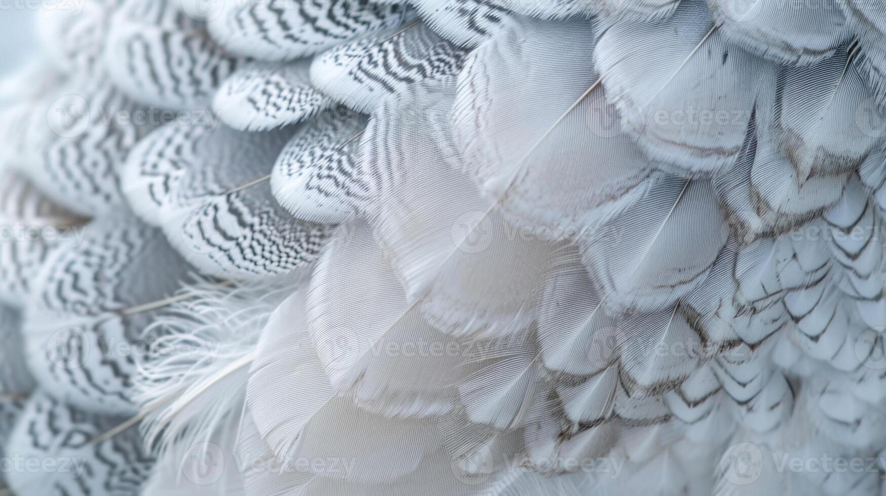 Closeup of a ptarmigans intricate patterns of white and grey feathers resembling delicate snowflakes photo