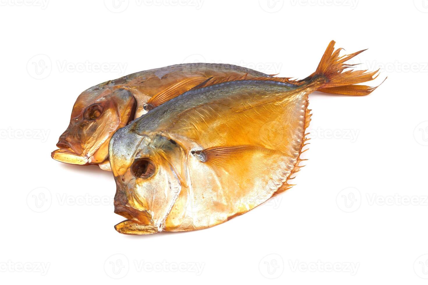 fish on white photo