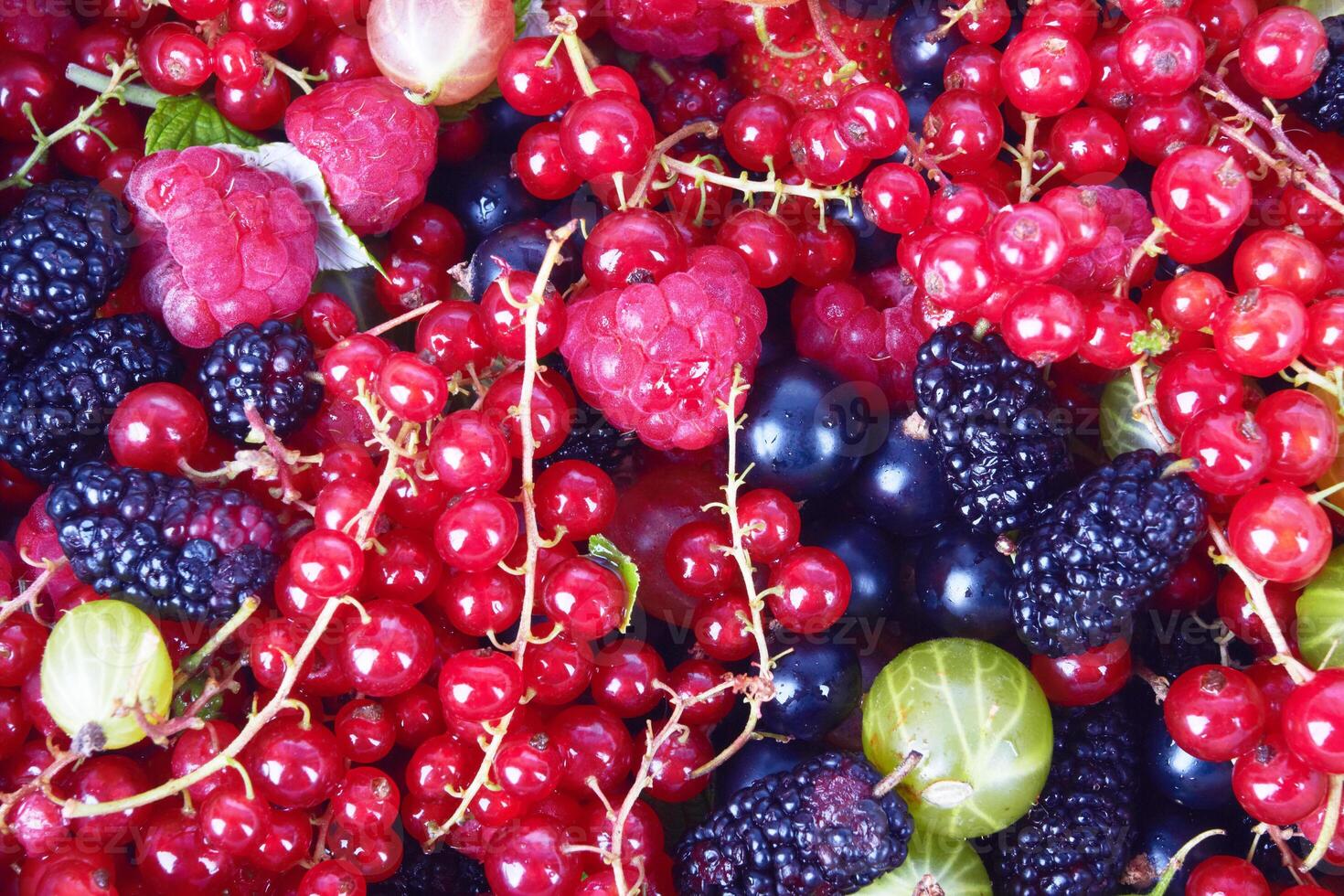 Berries as background photo