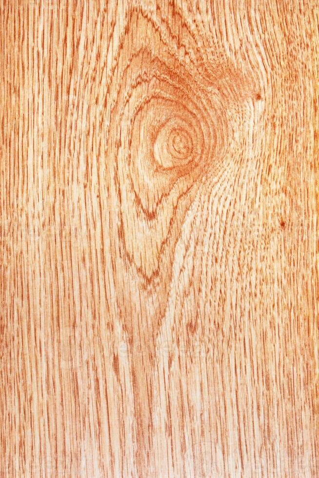 Pattern of wood photo