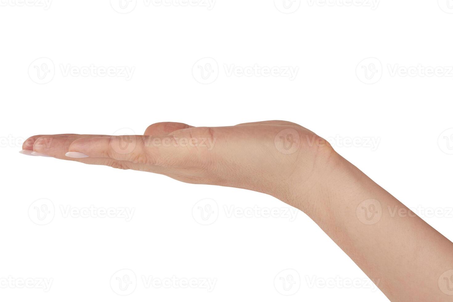 Empty hand on white photo