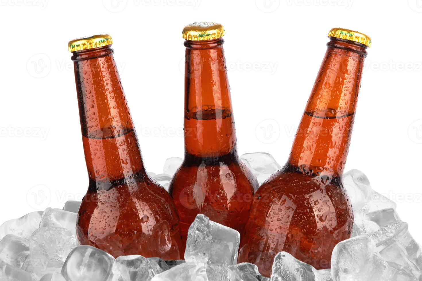 beer bottles on white photo