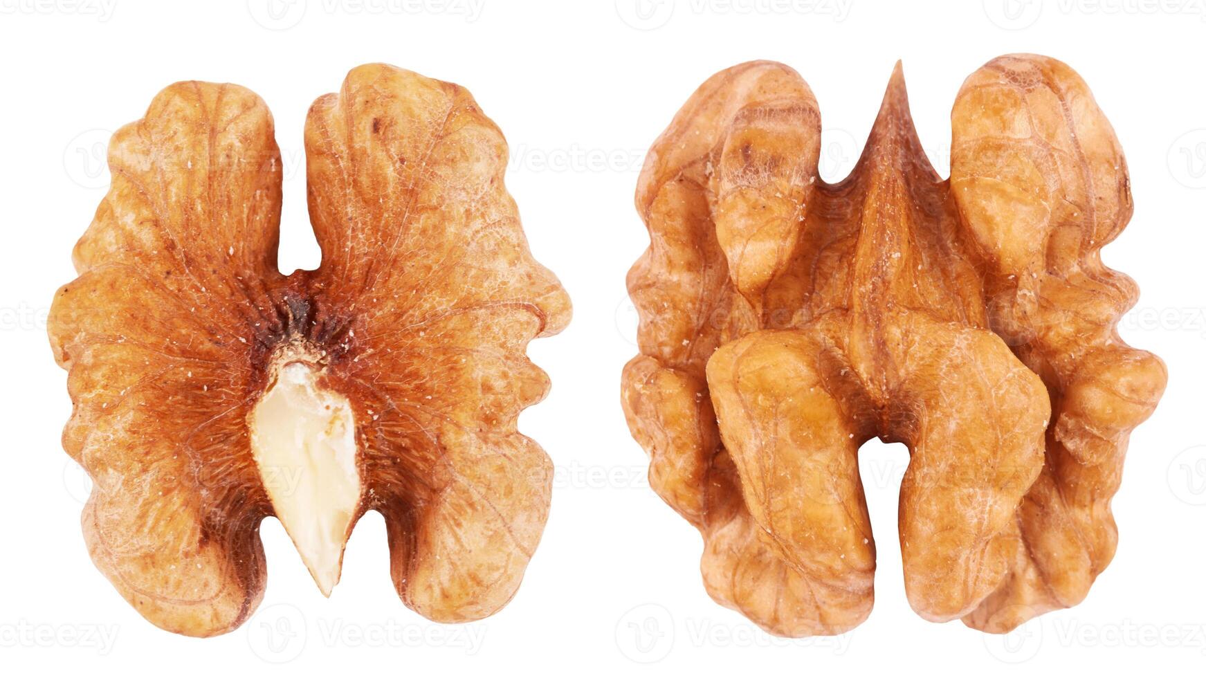walnuts on white photo