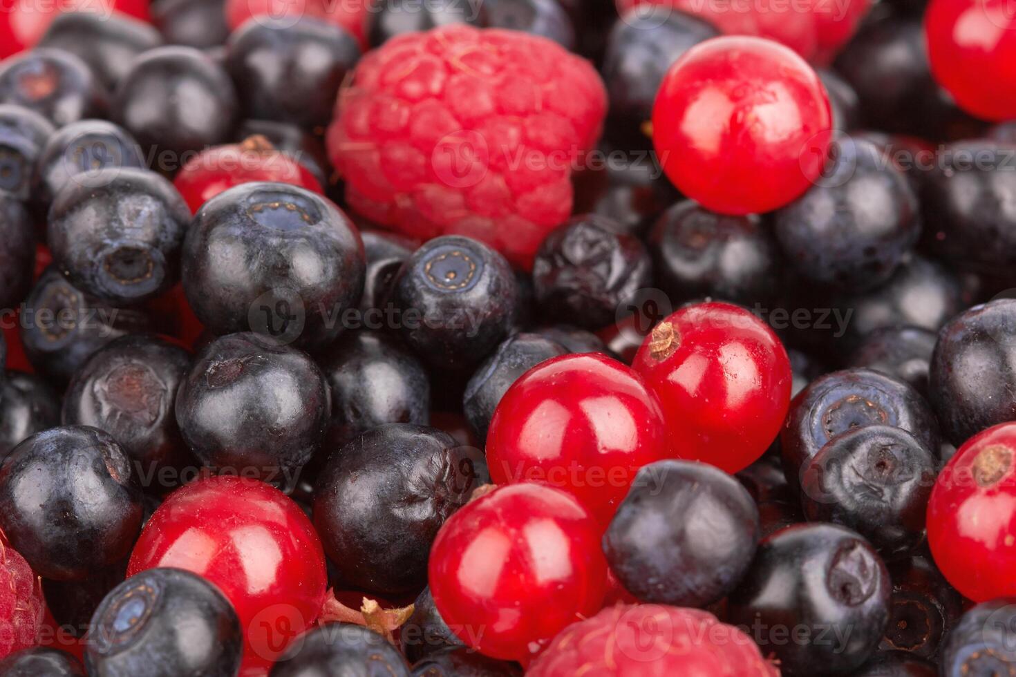Berries as background photo
