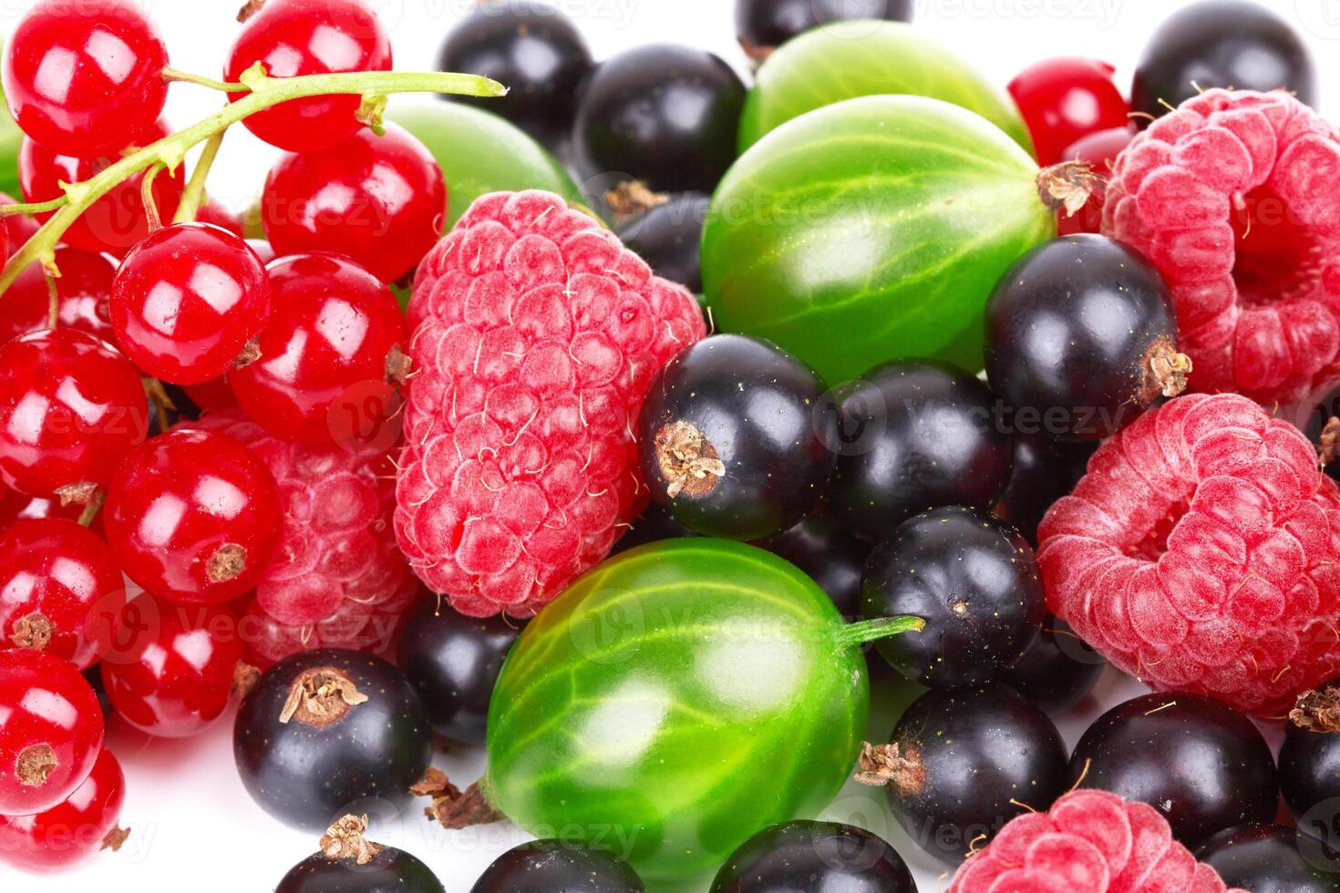 berries as background photo