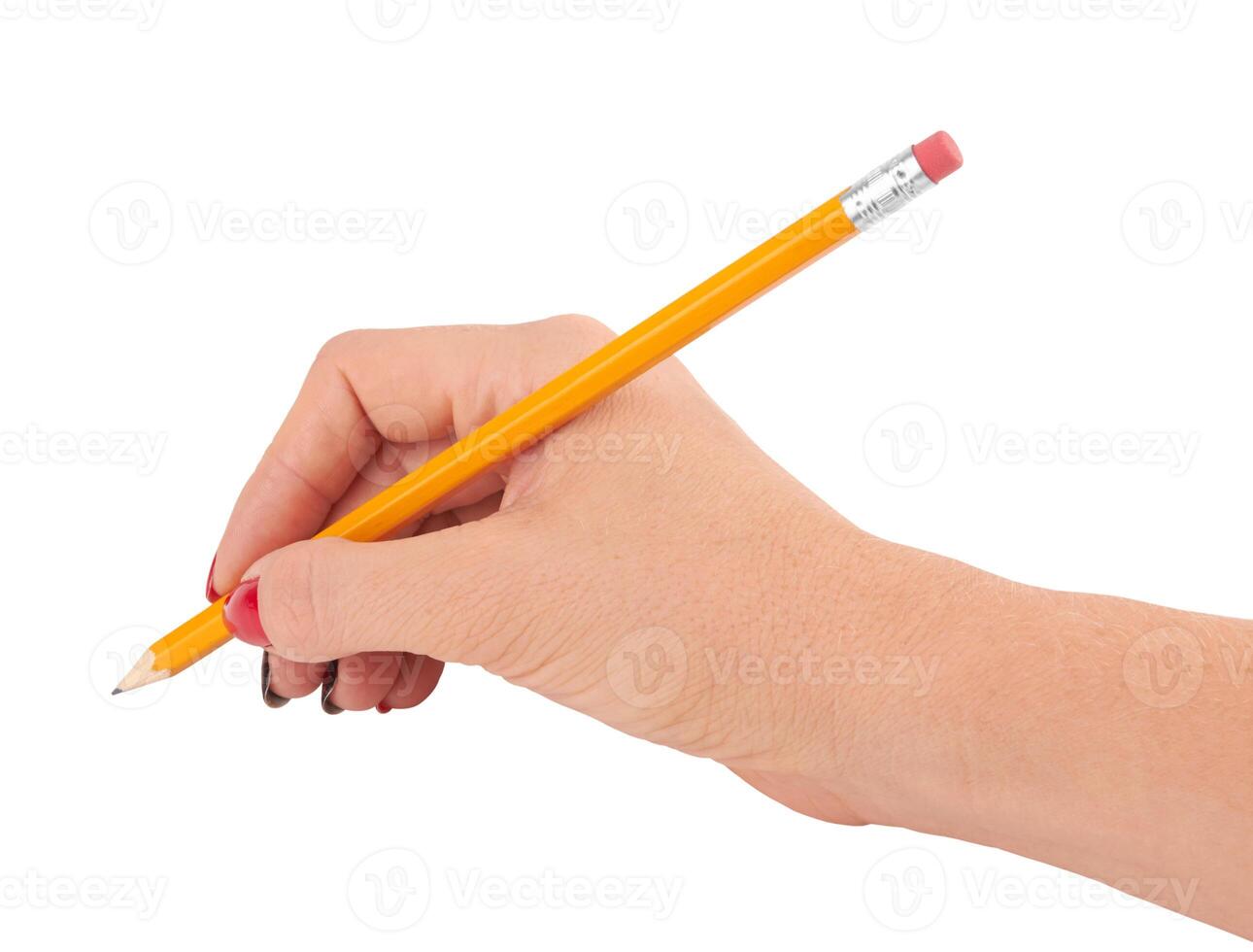 pencil on white photo