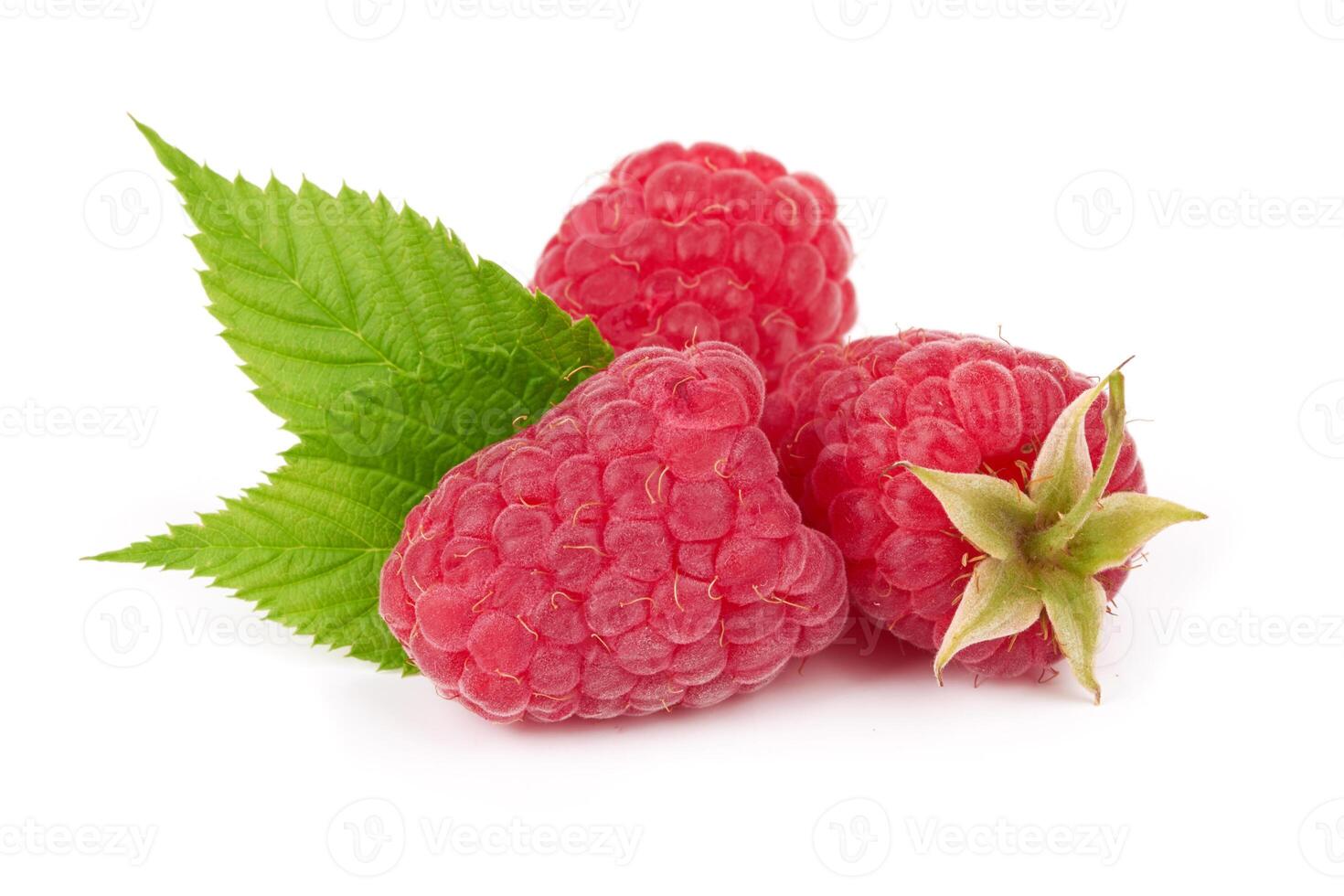 Raspberry on white photo