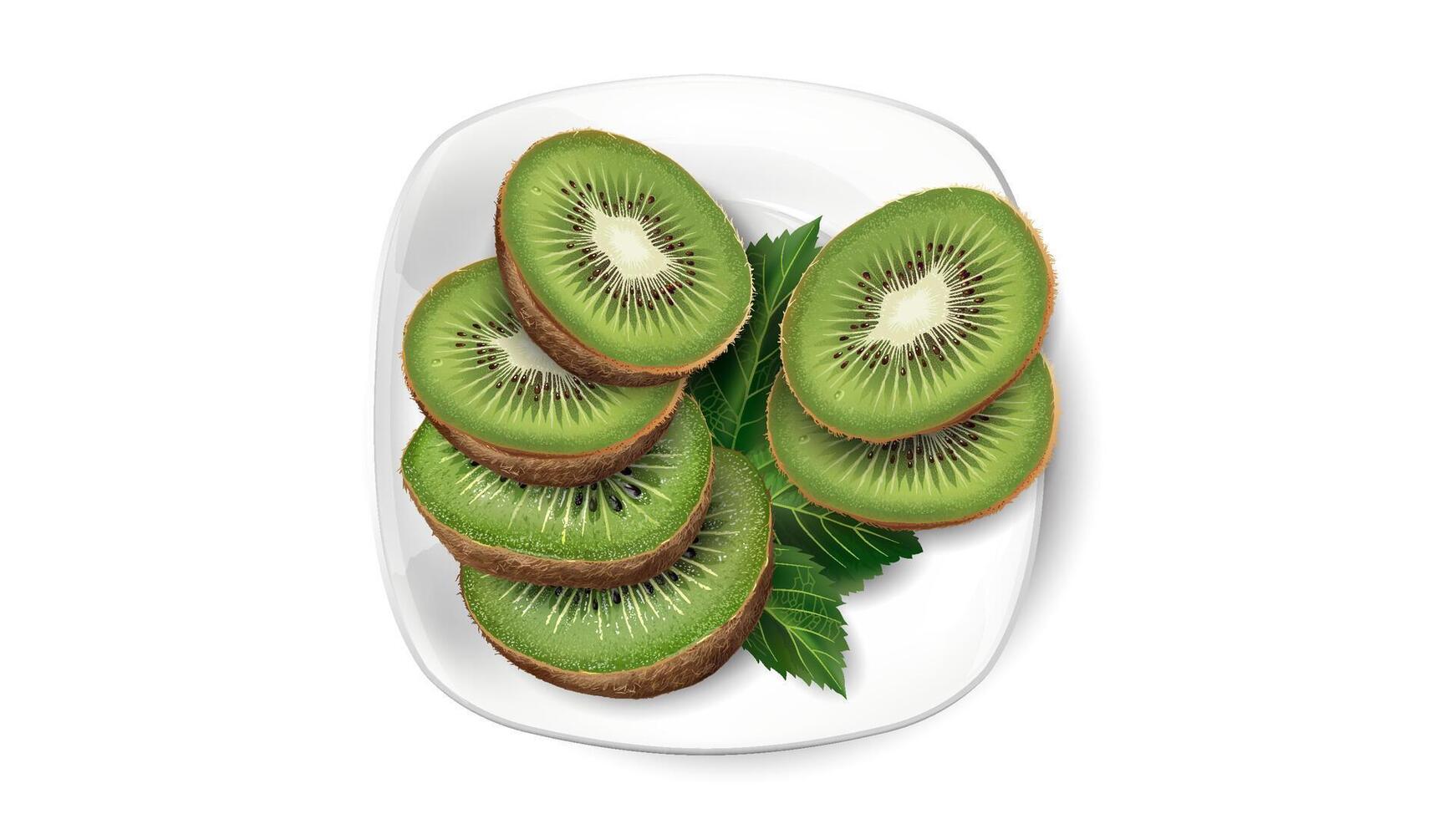 Kiwi slices and leaves on a white plate. vector