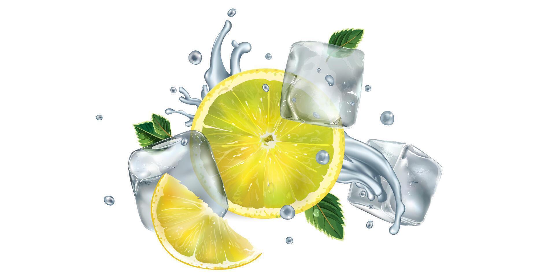 Sliced lemon, mint leaves and ice cubes with water splash vector
