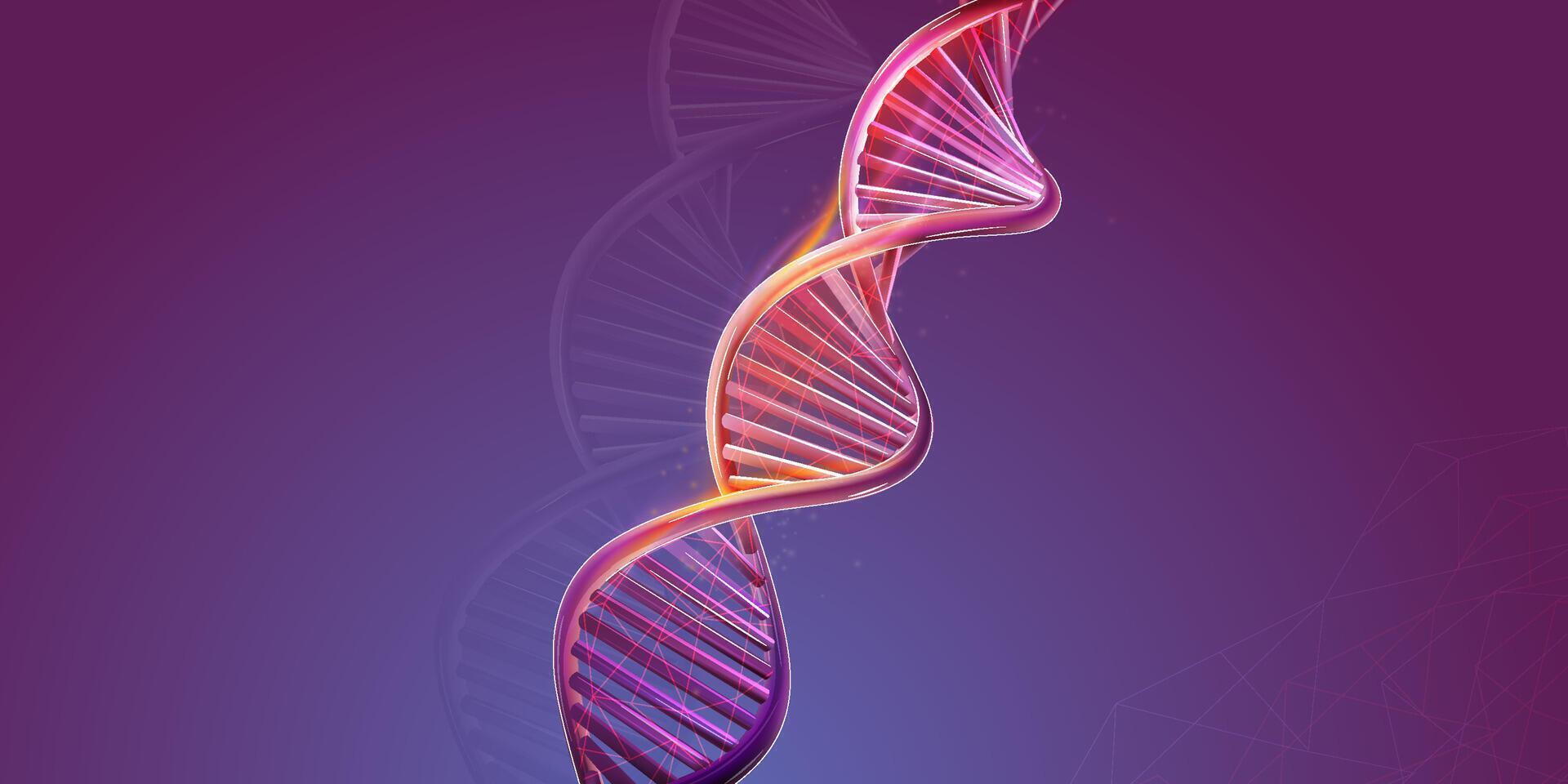 DNA double helix structure on a purple background. vector