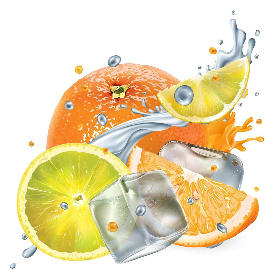 Fresh orange and lemon with ice cubes and splashes of water and juice vector