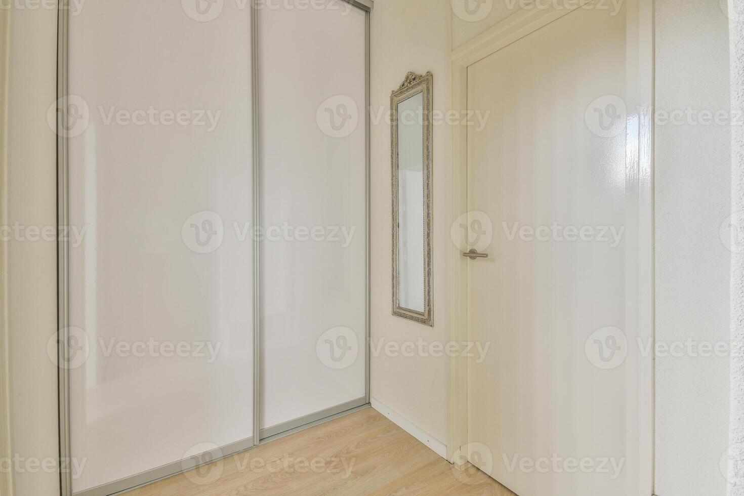 A hallway with a door and a mirror photo