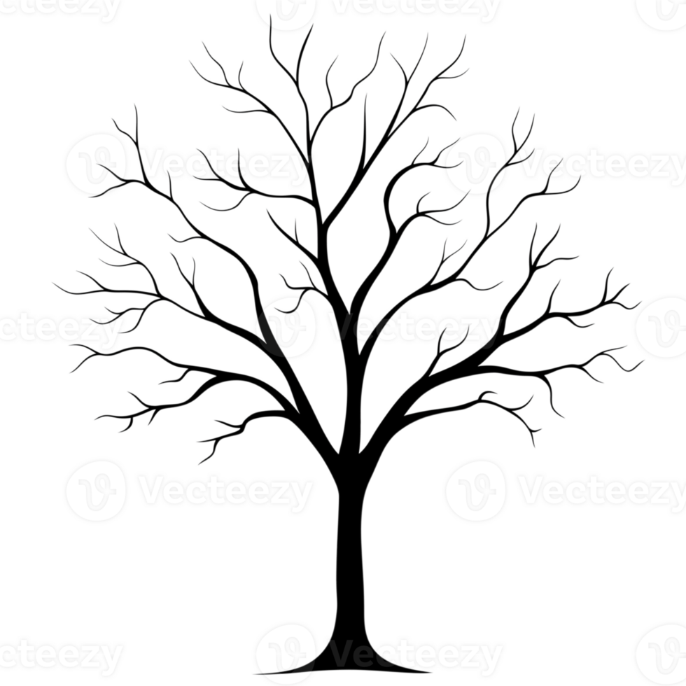 Silhouette of a large bare tree with sprawling branches isolated on a transparent background png