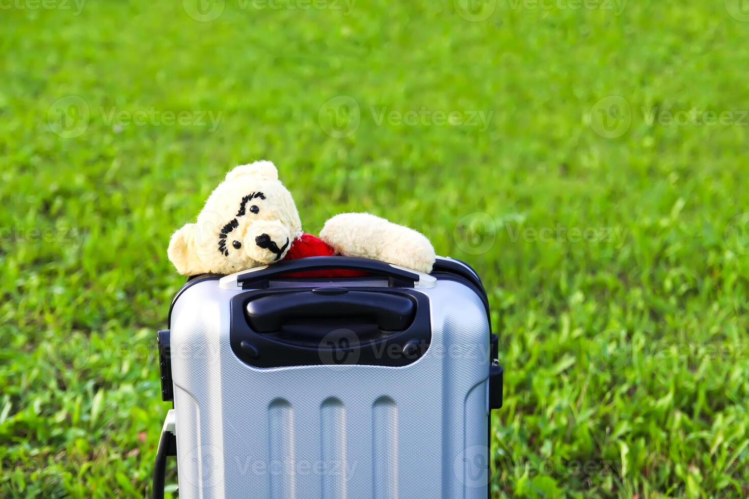Soft toy bear in opened travel bag with clothes on green summer meadow photo