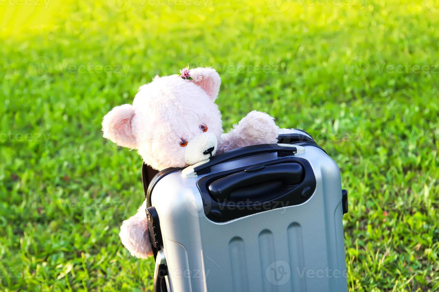 Soft toy bear on travel bag on green summer meadow photo