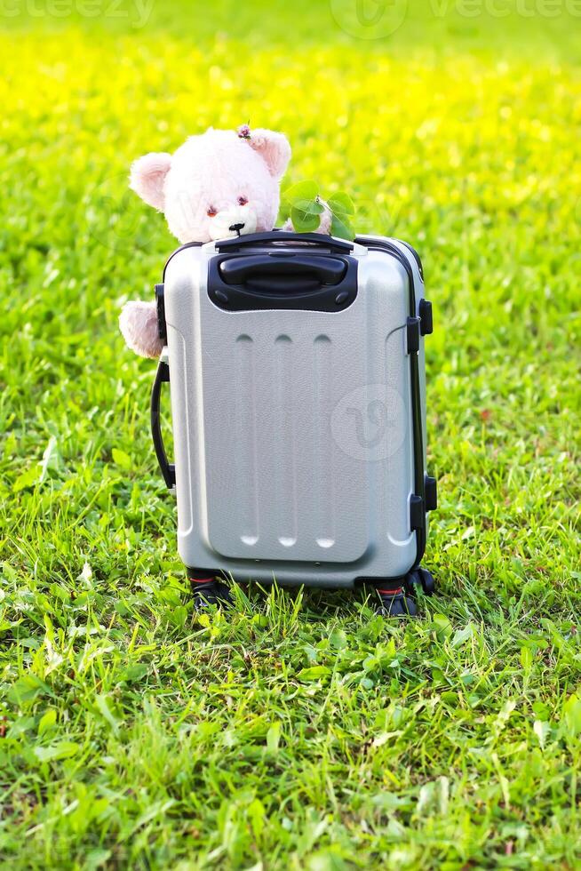 Soft toy bear on travel bag on green summer meadow photo