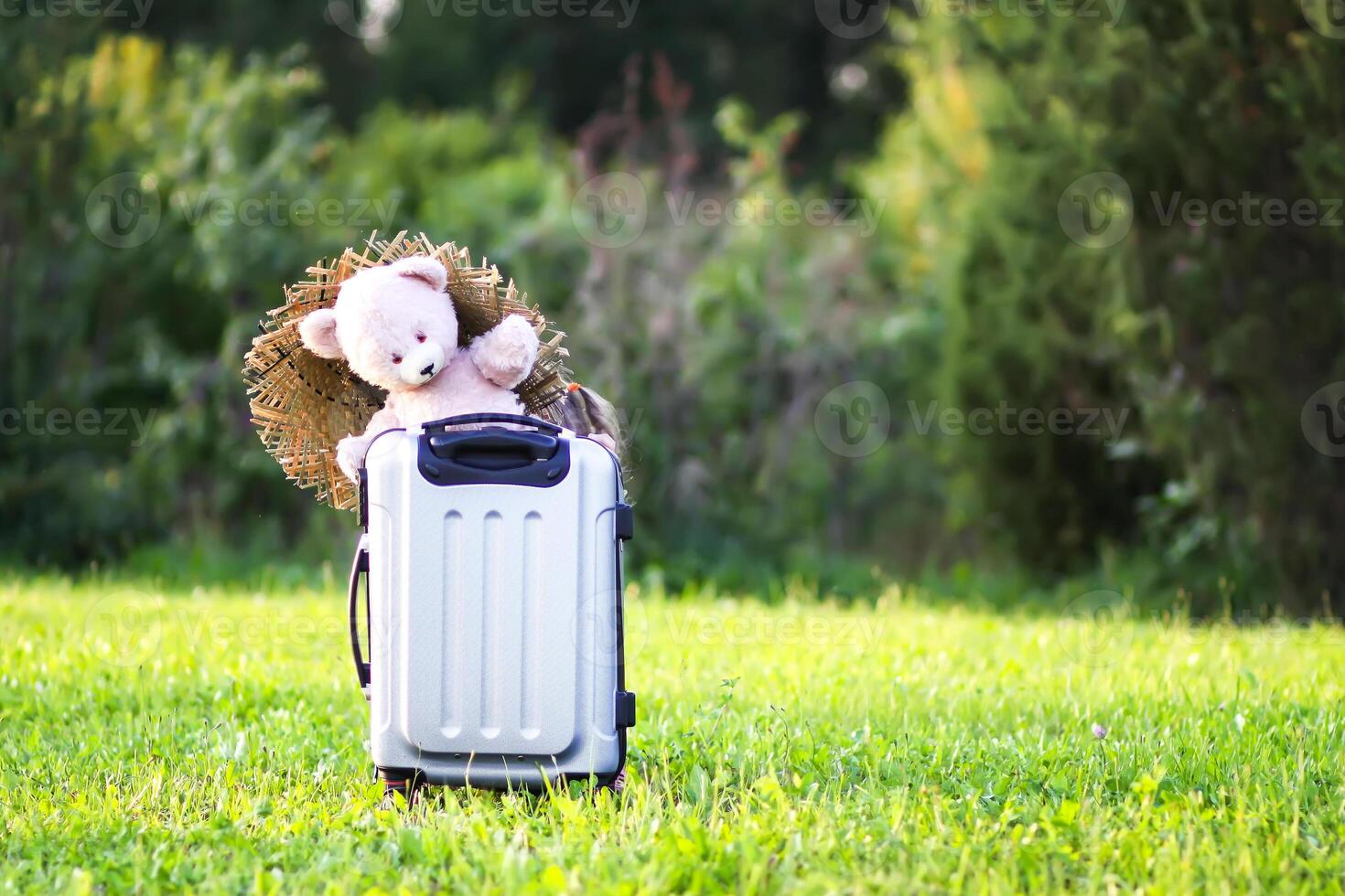 Soft toy bear on travel bag on green summer meadow photo