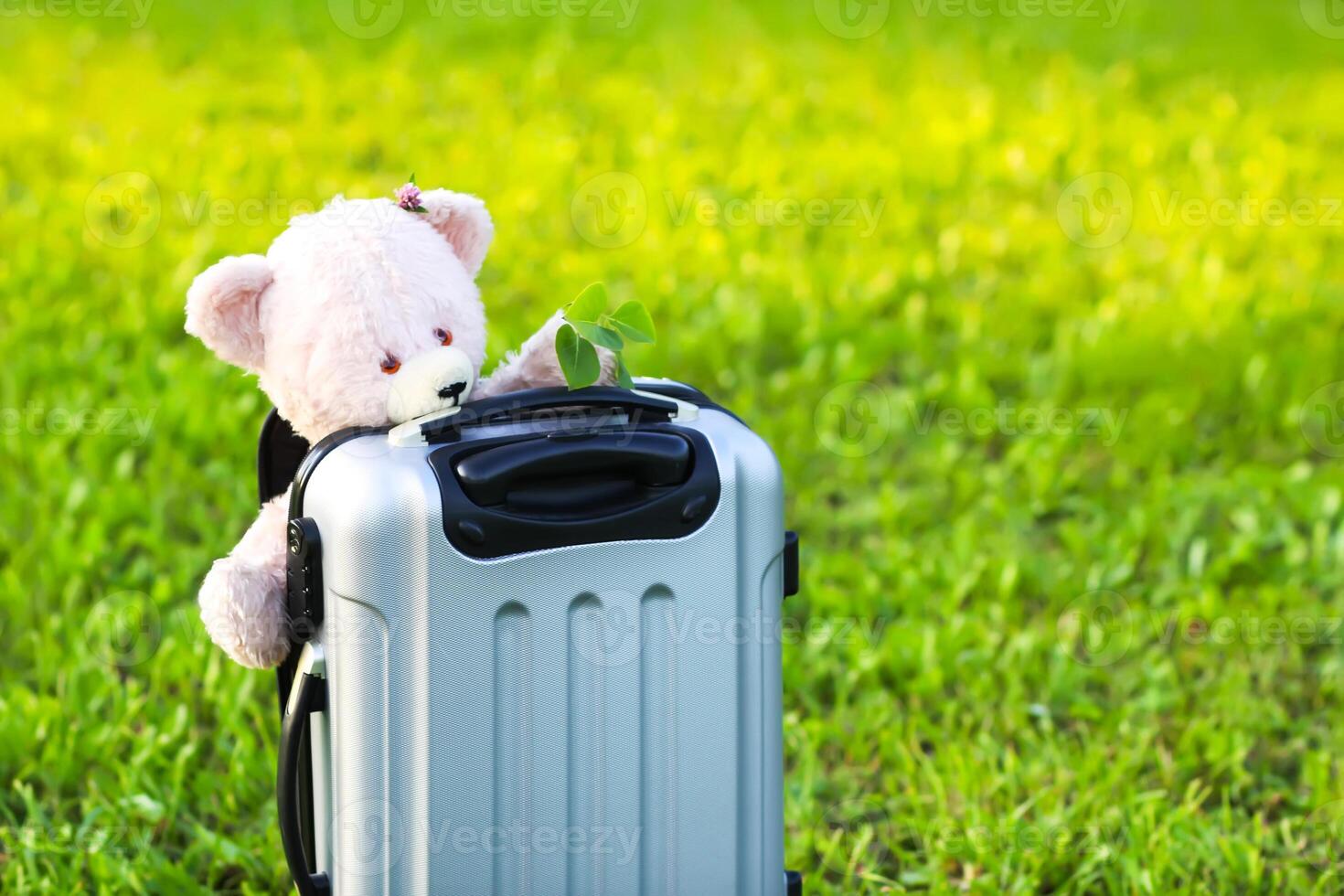 Soft toy bear on travel bag on green summer meadow photo