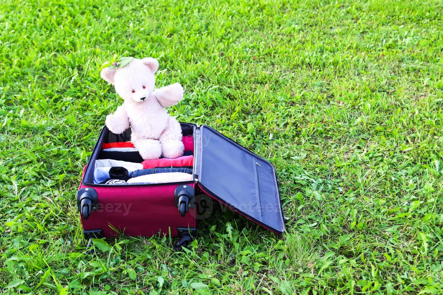 Soft toy bear in opened travel bag with clothes on green summer meadow photo