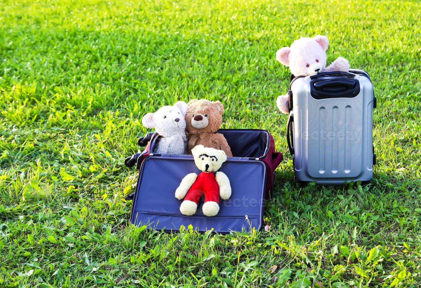 Soft toys on travel bags on green grass outdoors in sunlight photo