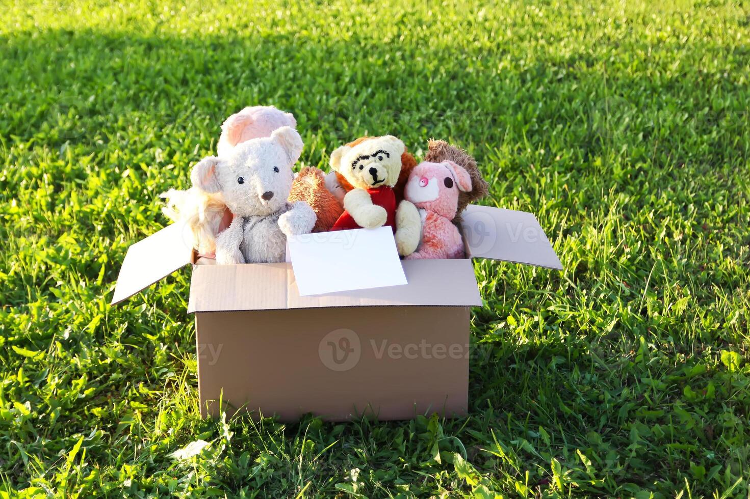 Soft toys for donation in the opened cardboard box on green grass outdoors photo