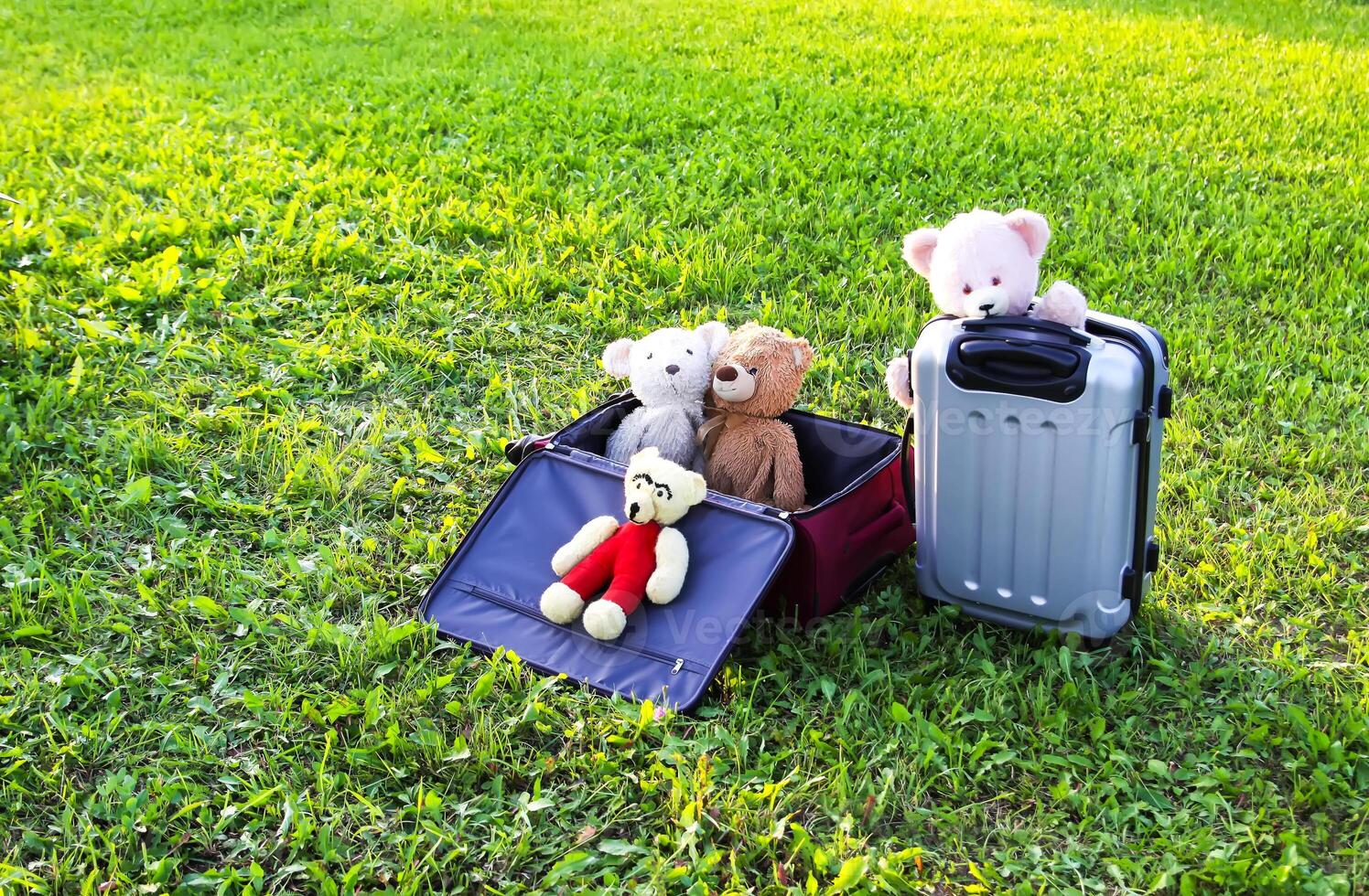 Soft toys on travel bags on green grass outdoors in sunlight photo