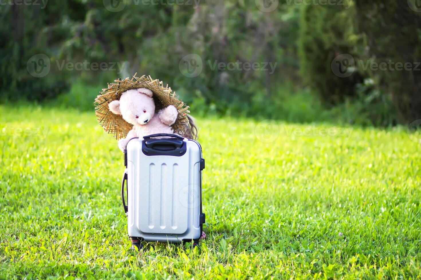 Soft toy bear on travel bag on green summer meadow photo