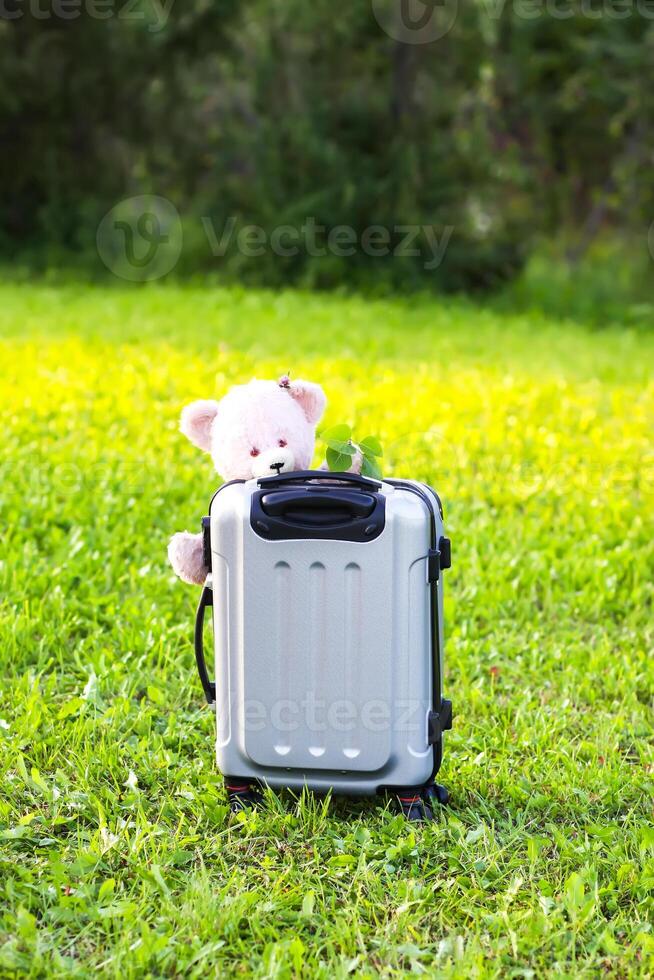 Soft toy bear on travel bag on green summer meadow photo