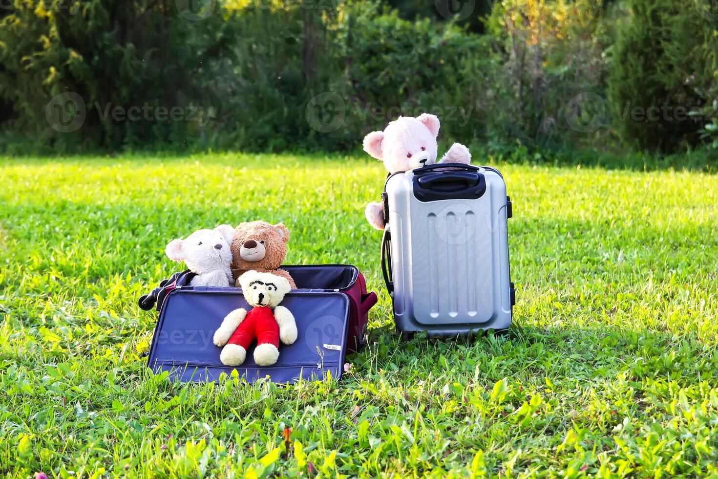 Soft toys on travel bags on green grass outdoors in sunlight photo