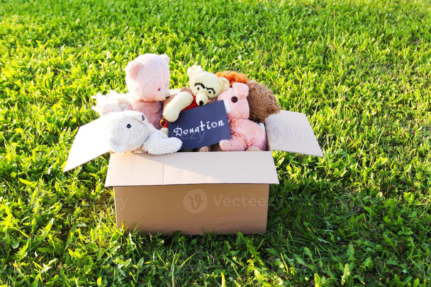 Soft toys for donation in the opened cardboard box on green grass outdoors photo