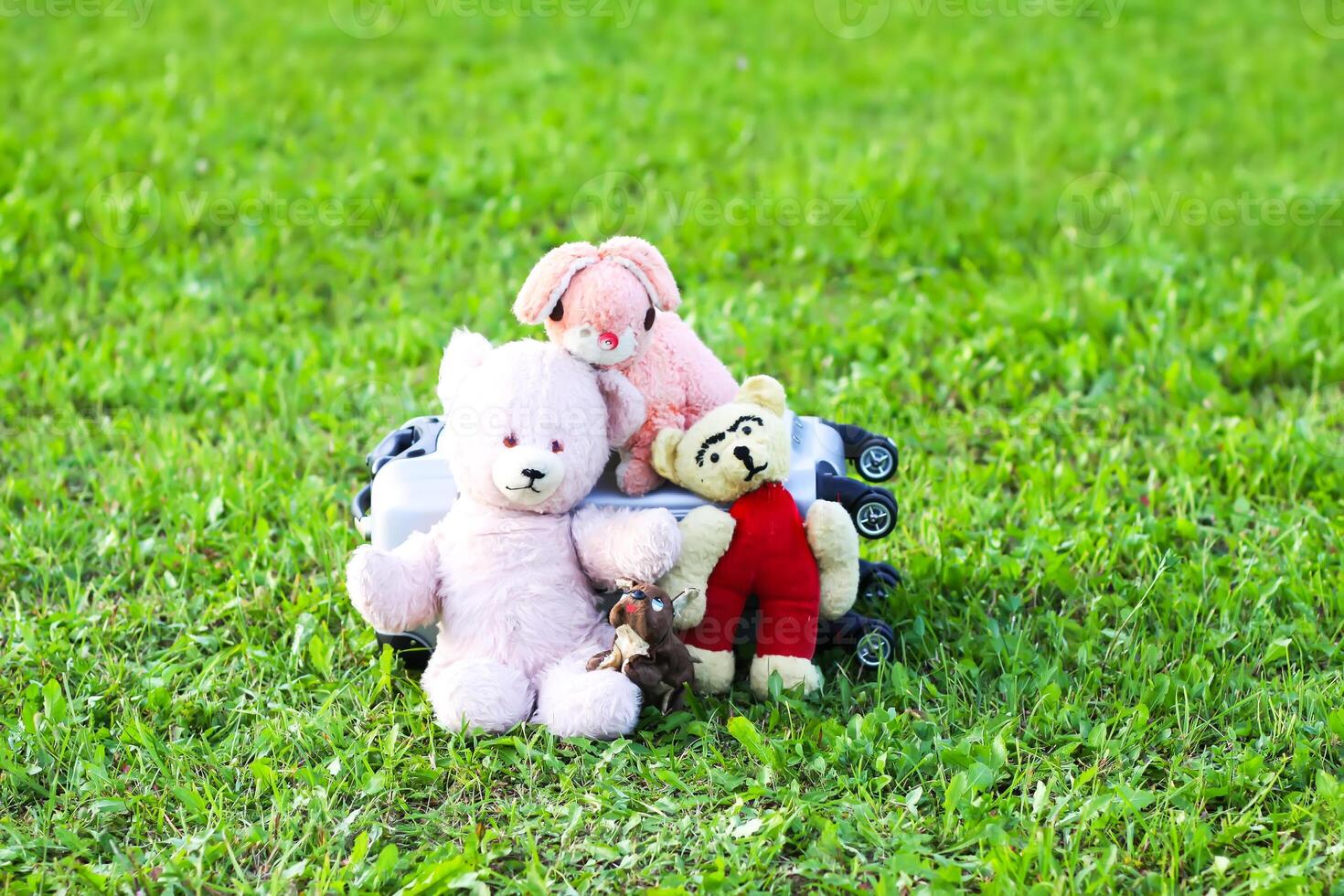 Soft toys and travel bag on green grass outdoors in sunlight photo