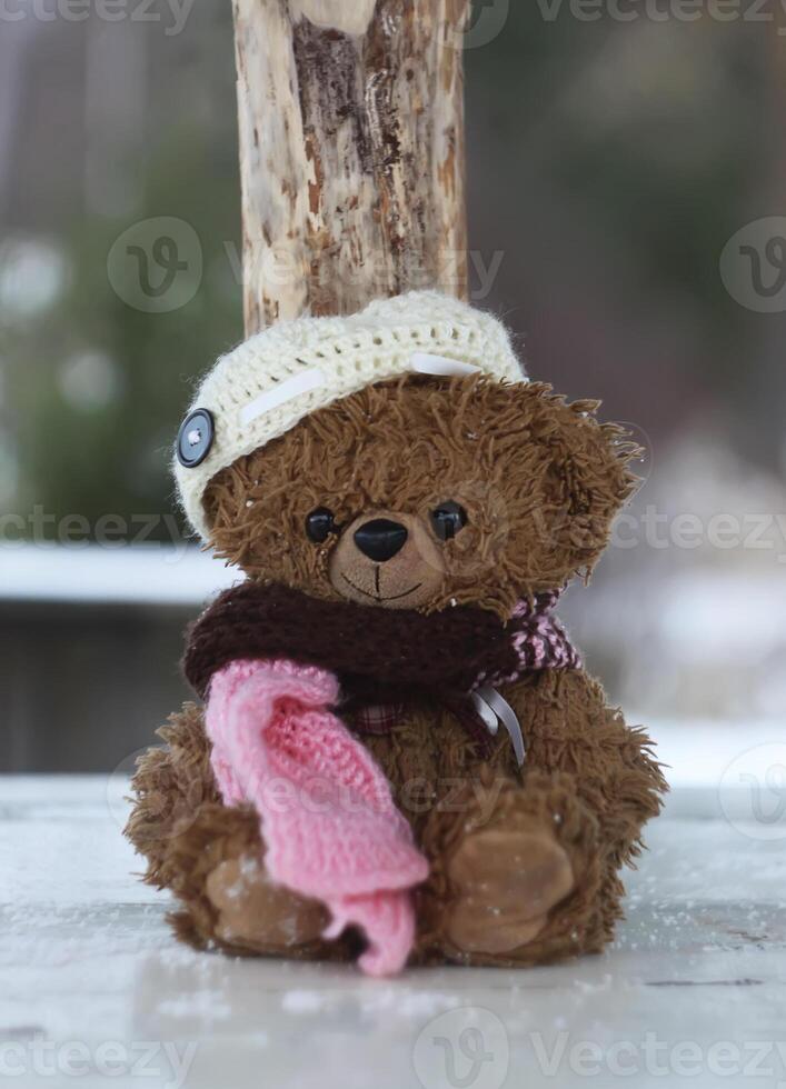 Funny toy bear photo