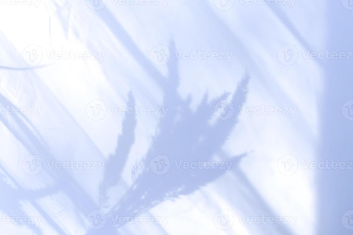 Light and shadows on soft background photo