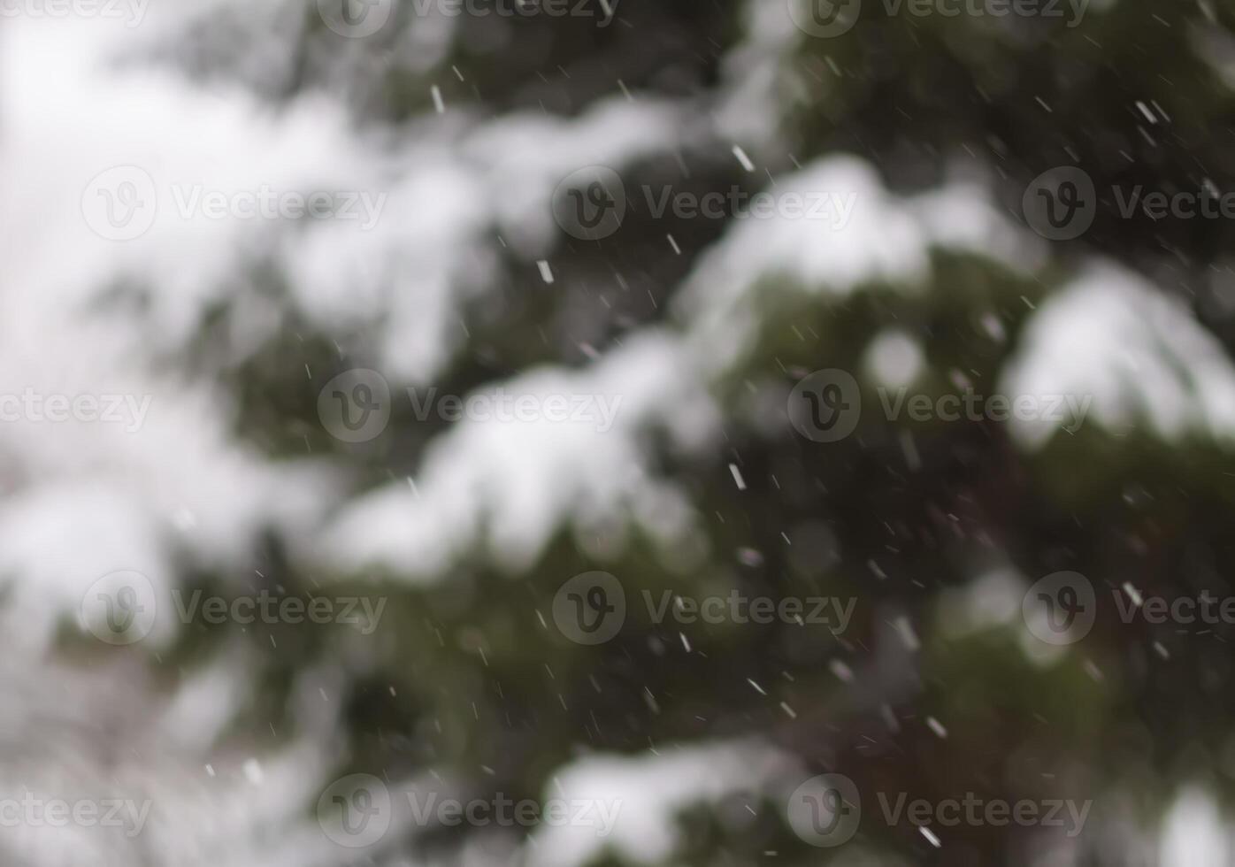 Abstract blurred winter nature background. Christmas or New year snowy overlay photo