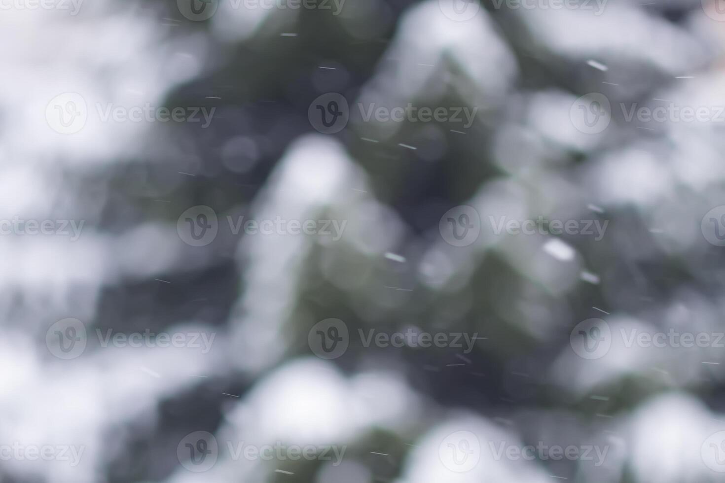Abstract blurred winter nature background. Christmas or New year snowy overlay photo