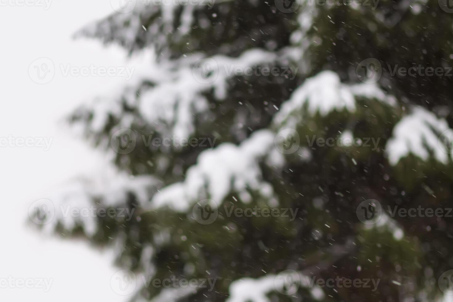 Abstract blurred winter nature background. Christmas or New year snowy overlay photo