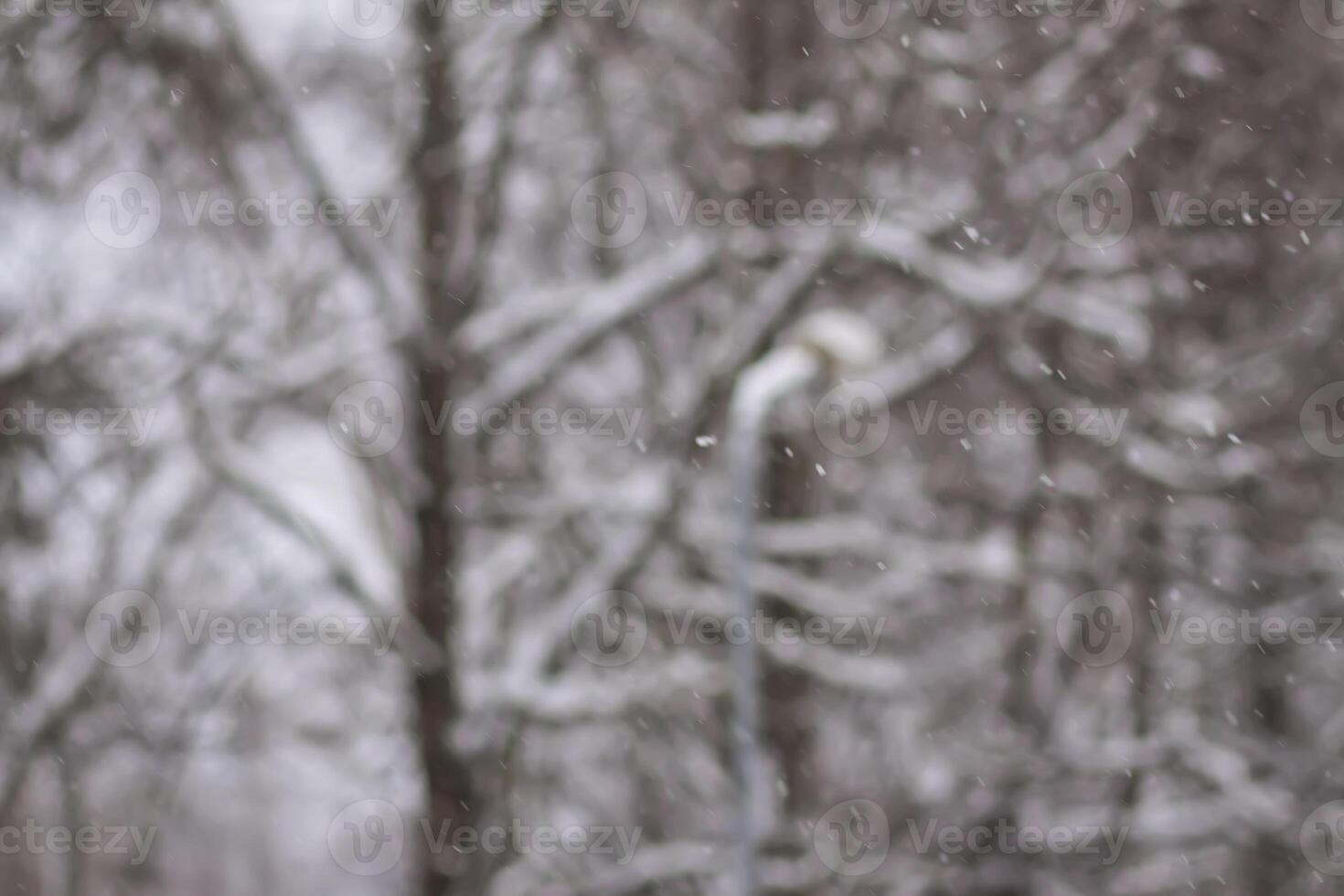 Abstract blurred winter nature background. Christmas or New year snowy overlay photo