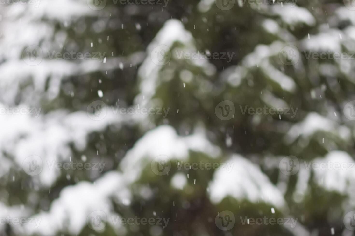 Abstract blurred winter nature background. Christmas or New year snowy overlay photo