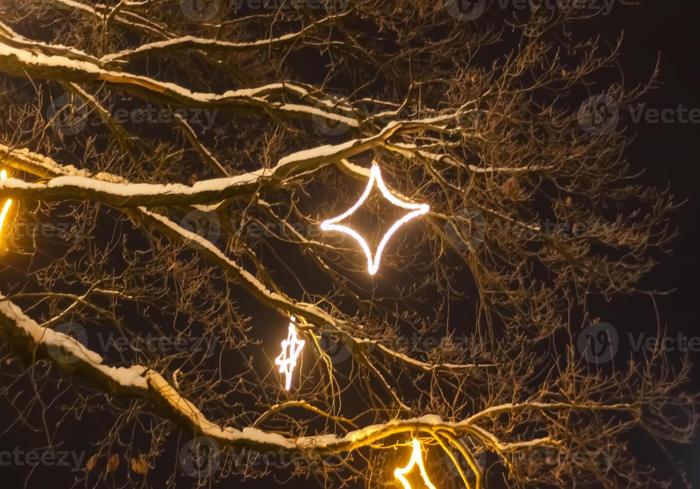 Christmas street with decorative garlands on tree branches and glowing light bulbs. photo