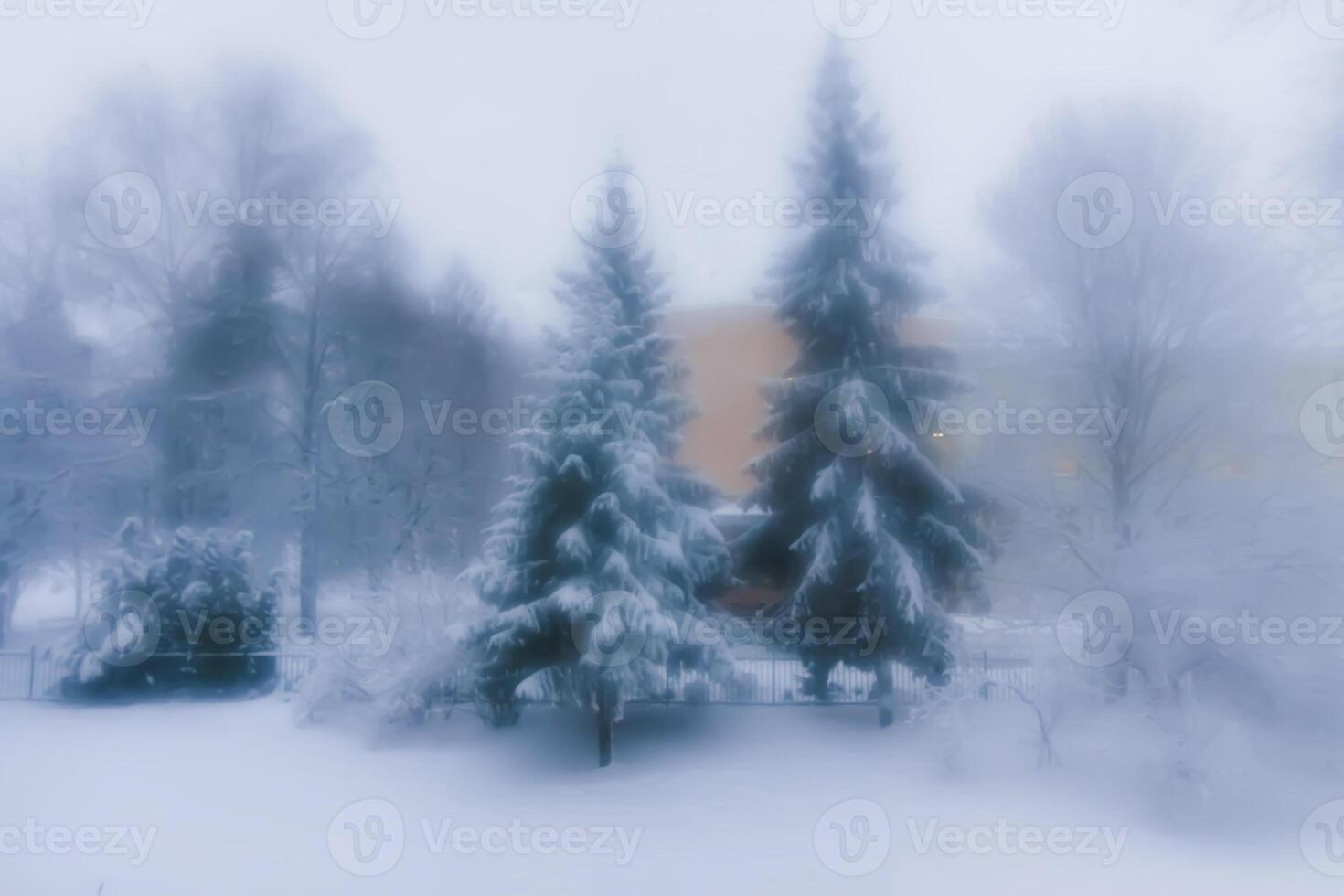 Blurred winter background. photo