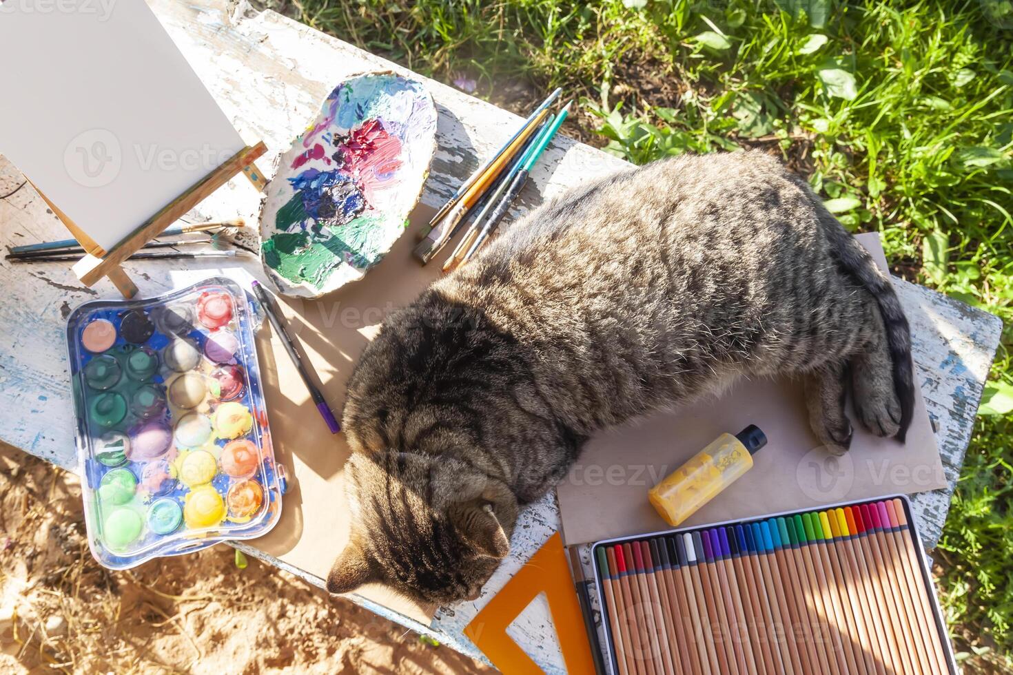 Lazy cat lying on the table with school supplies. photo