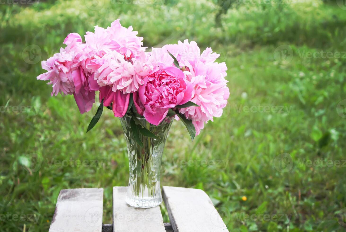 Bouquet of peony flowers photo