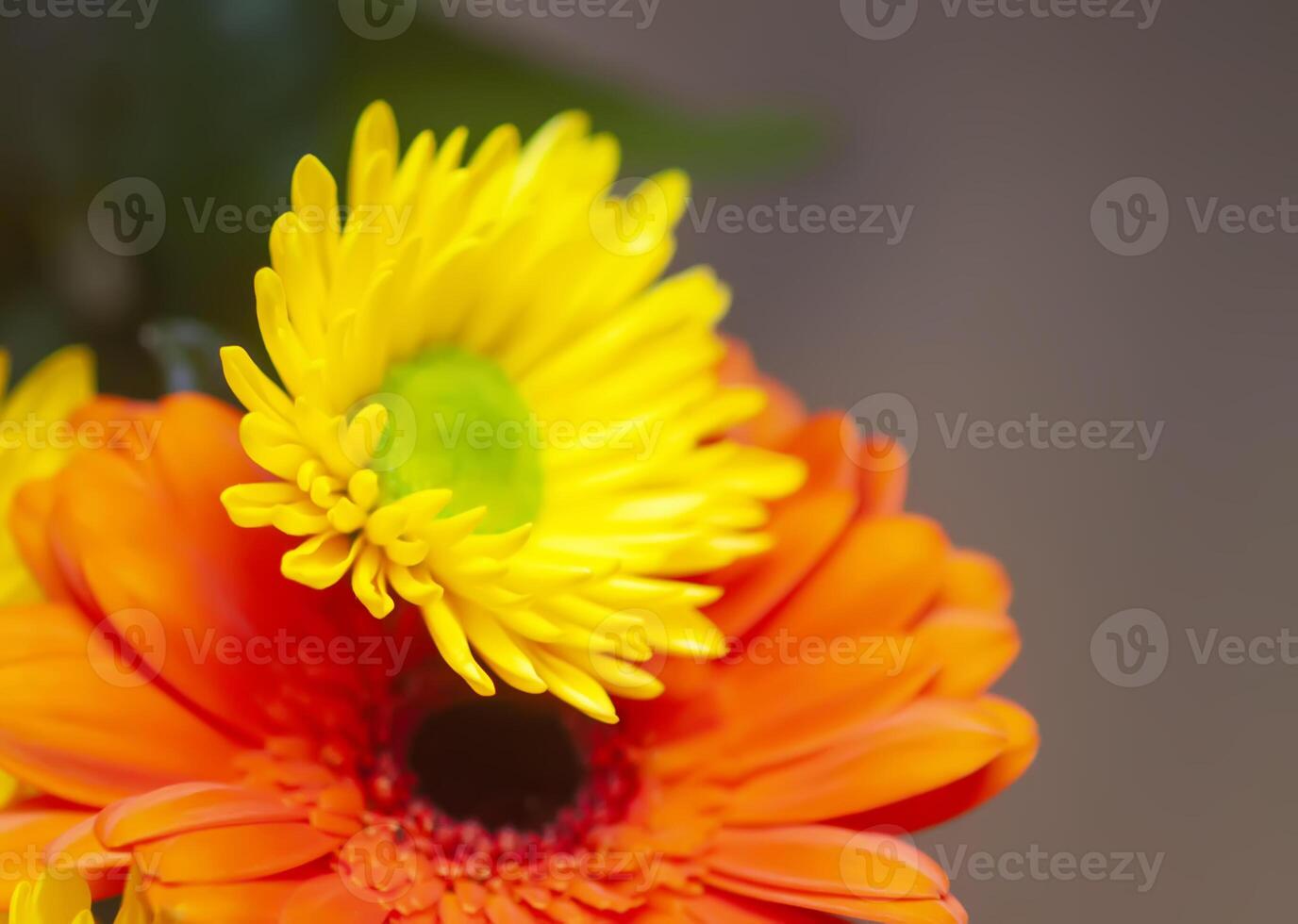 Bouquet of beautiful bright flowers. Floral composition. photo