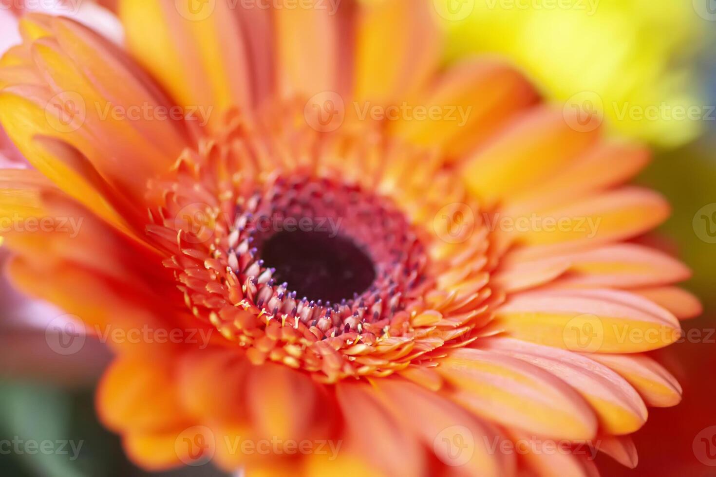 Bouquet of beautiful bright flowers. Floral composition. photo