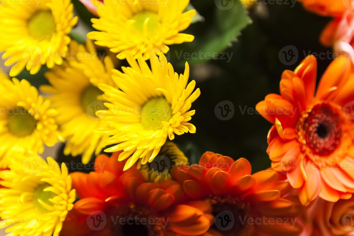 Bouquet of beautiful bright flowers. Floral composition. photo