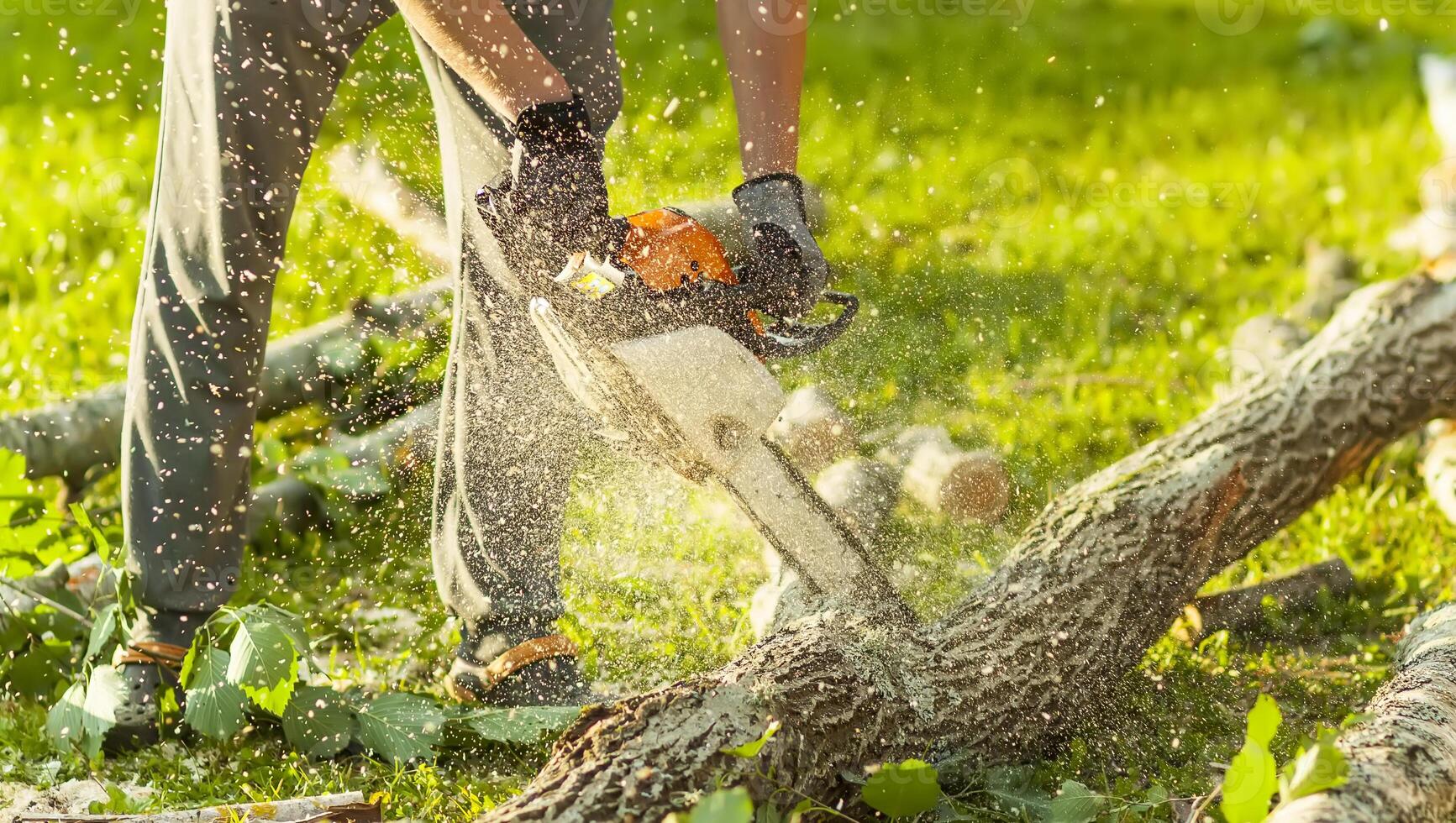 Hands of a man holding a chainsaw and saw logs. photo