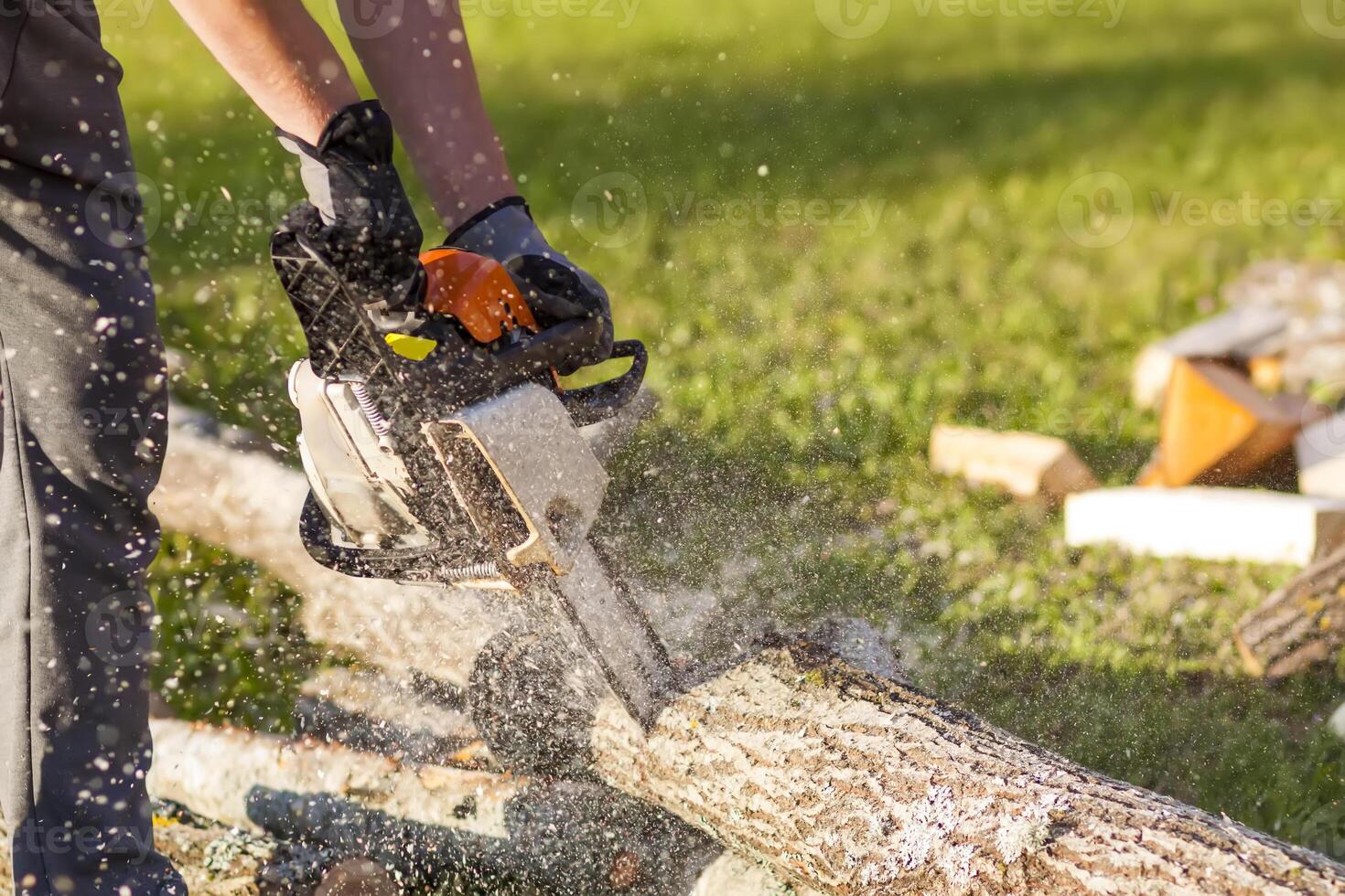 Hands of a man holding a chainsaw and saw logs. photo