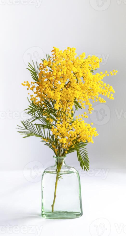 Yellow mimosa flowers in a vase. photo