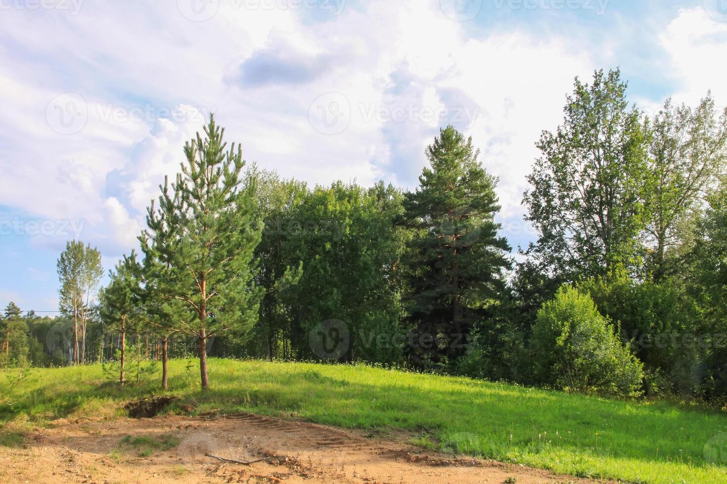 Countryside landscape with green fields and blue sky in Latvia. photo